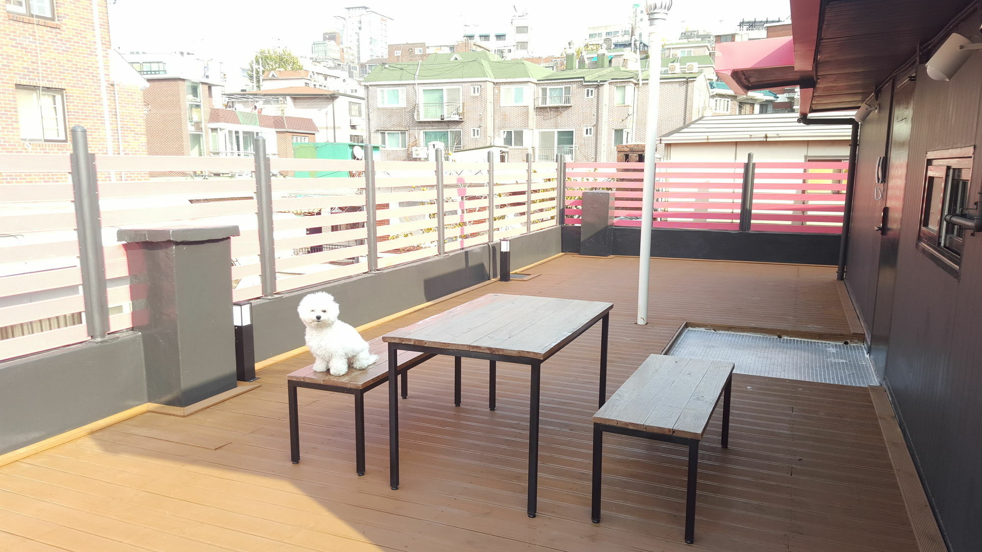 Amazon Guesthouse Seoul Exterior photo