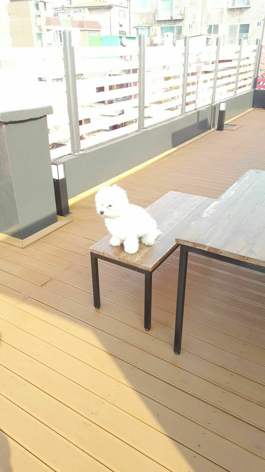 Amazon Guesthouse Seoul Exterior photo