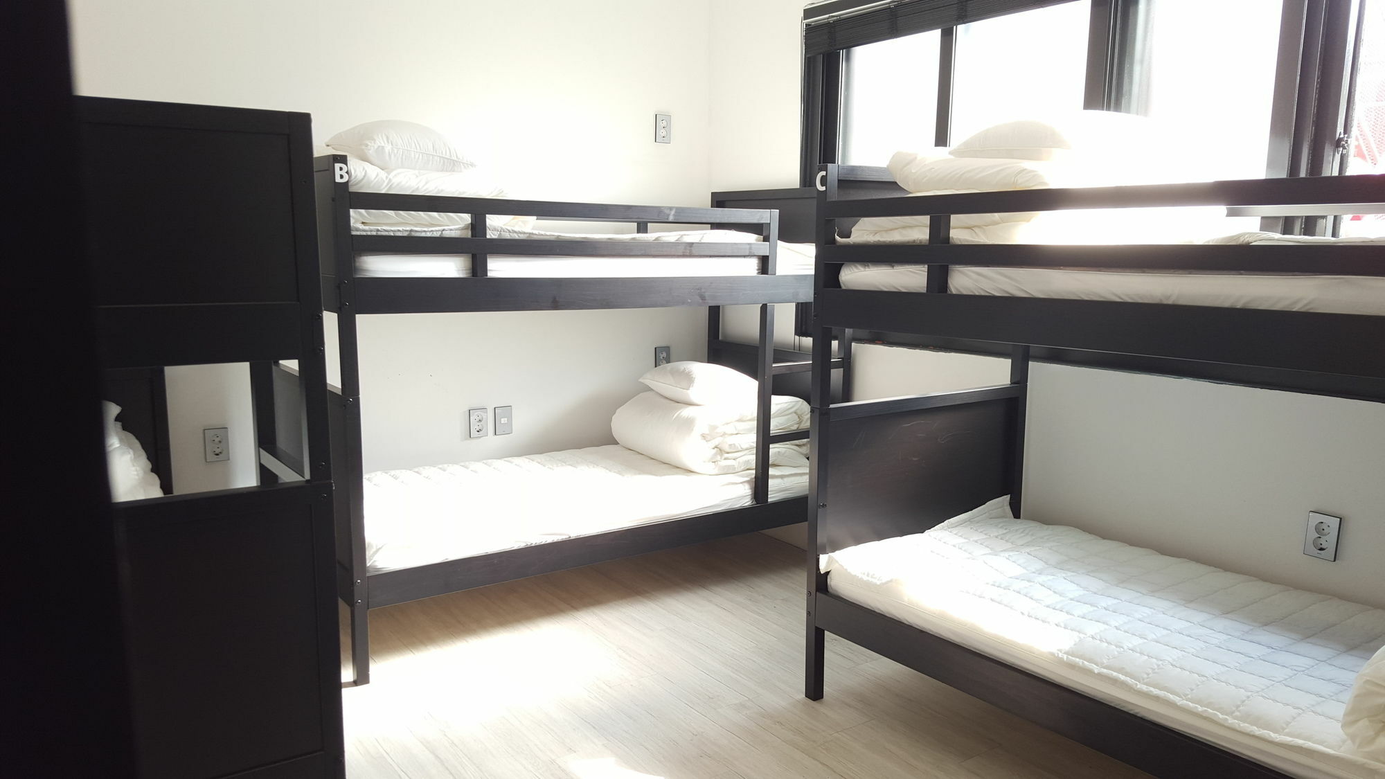 Amazon Guesthouse Seoul Exterior photo