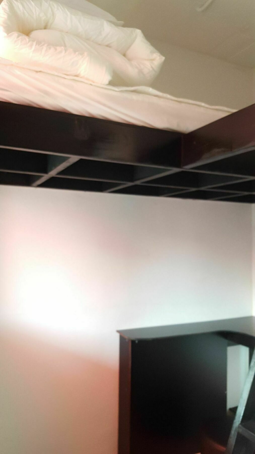 Amazon Guesthouse Seoul Exterior photo