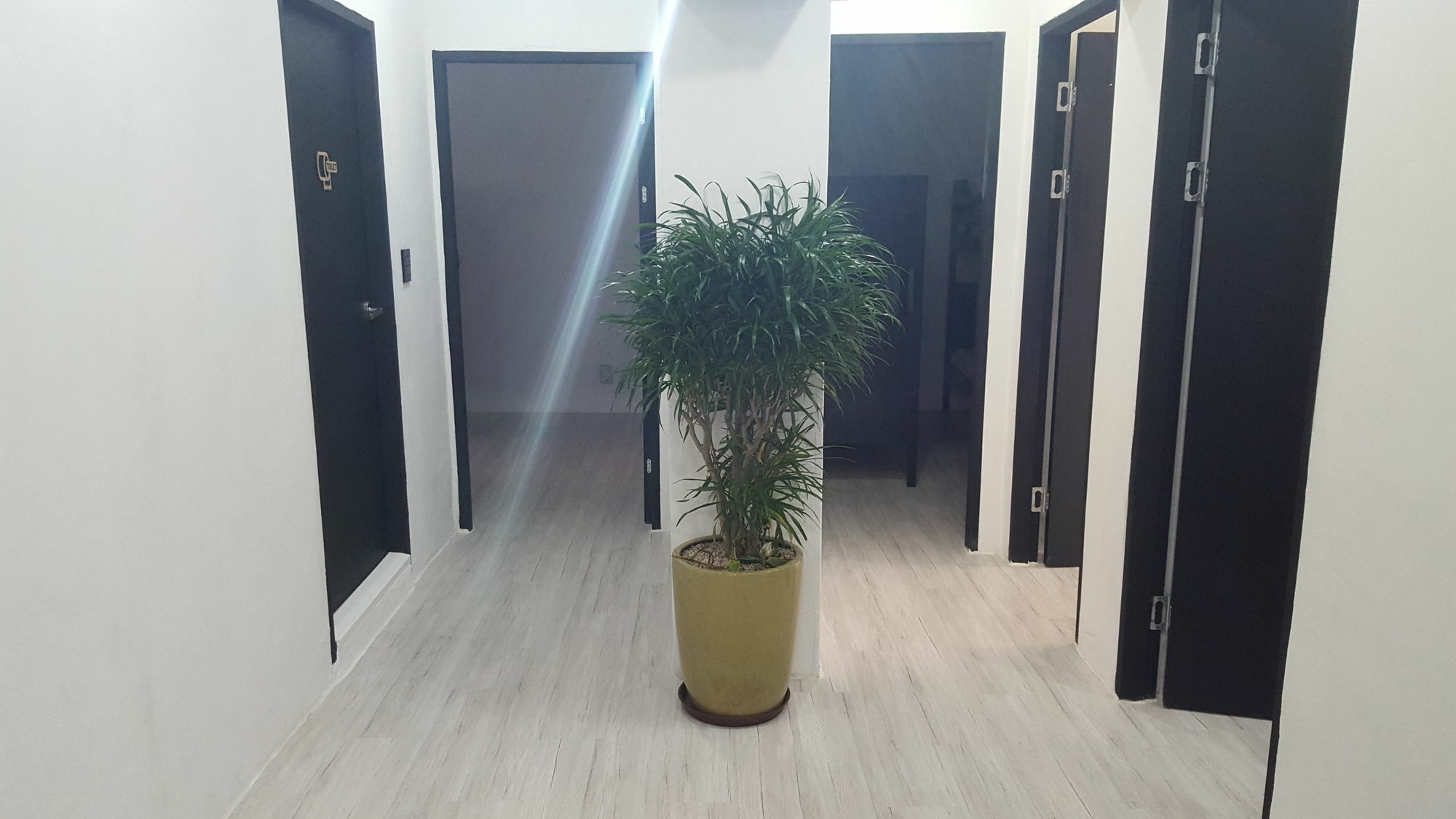 Amazon Guesthouse Seoul Exterior photo