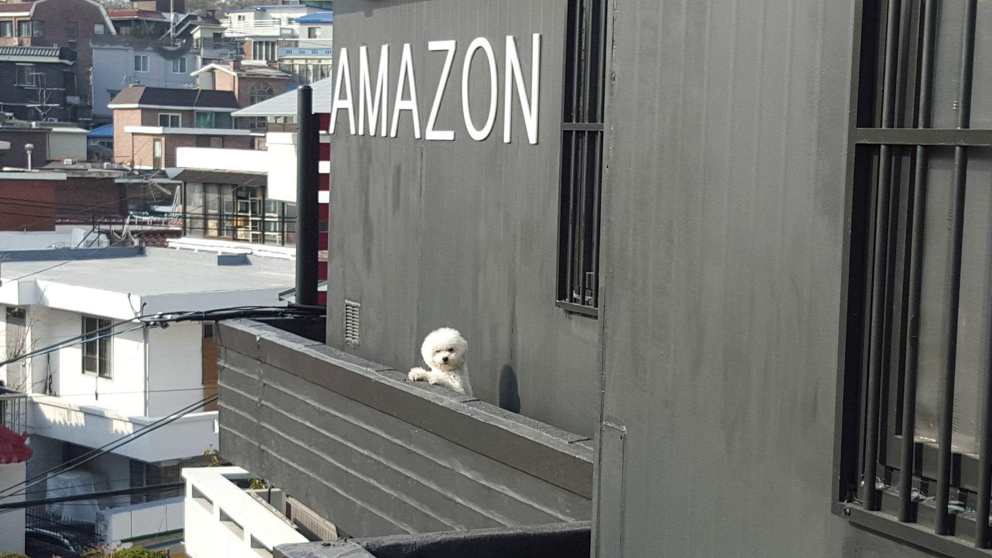 Amazon Guesthouse Seoul Exterior photo