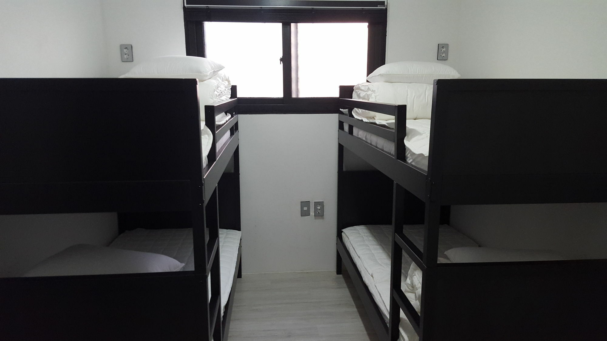 Amazon Guesthouse Seoul Exterior photo